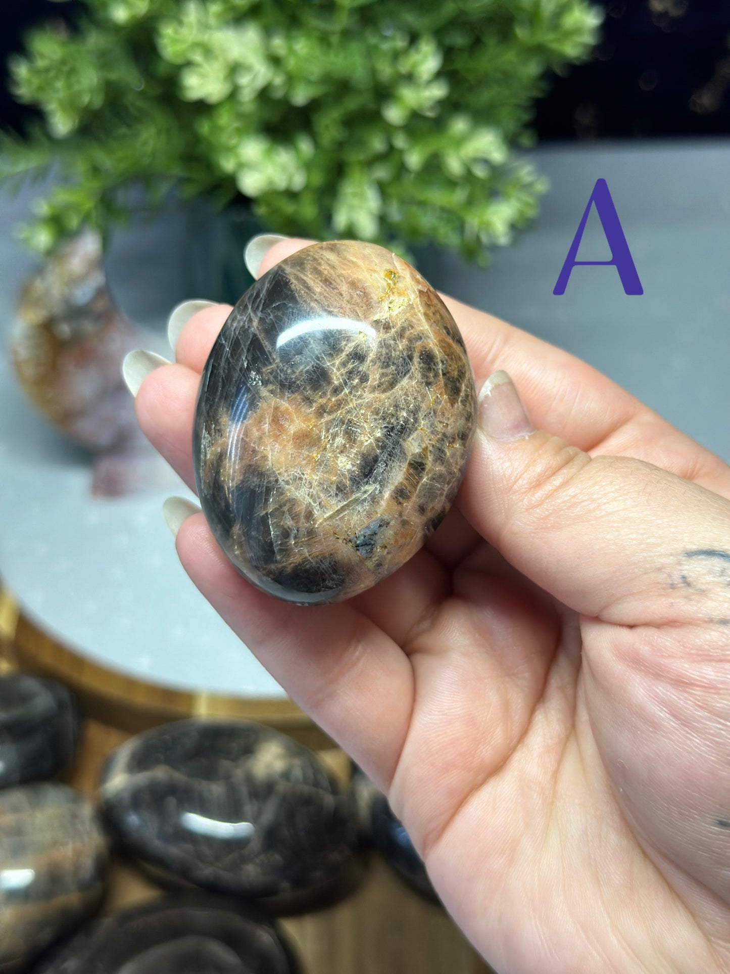 Black Moonstone Palm Stone