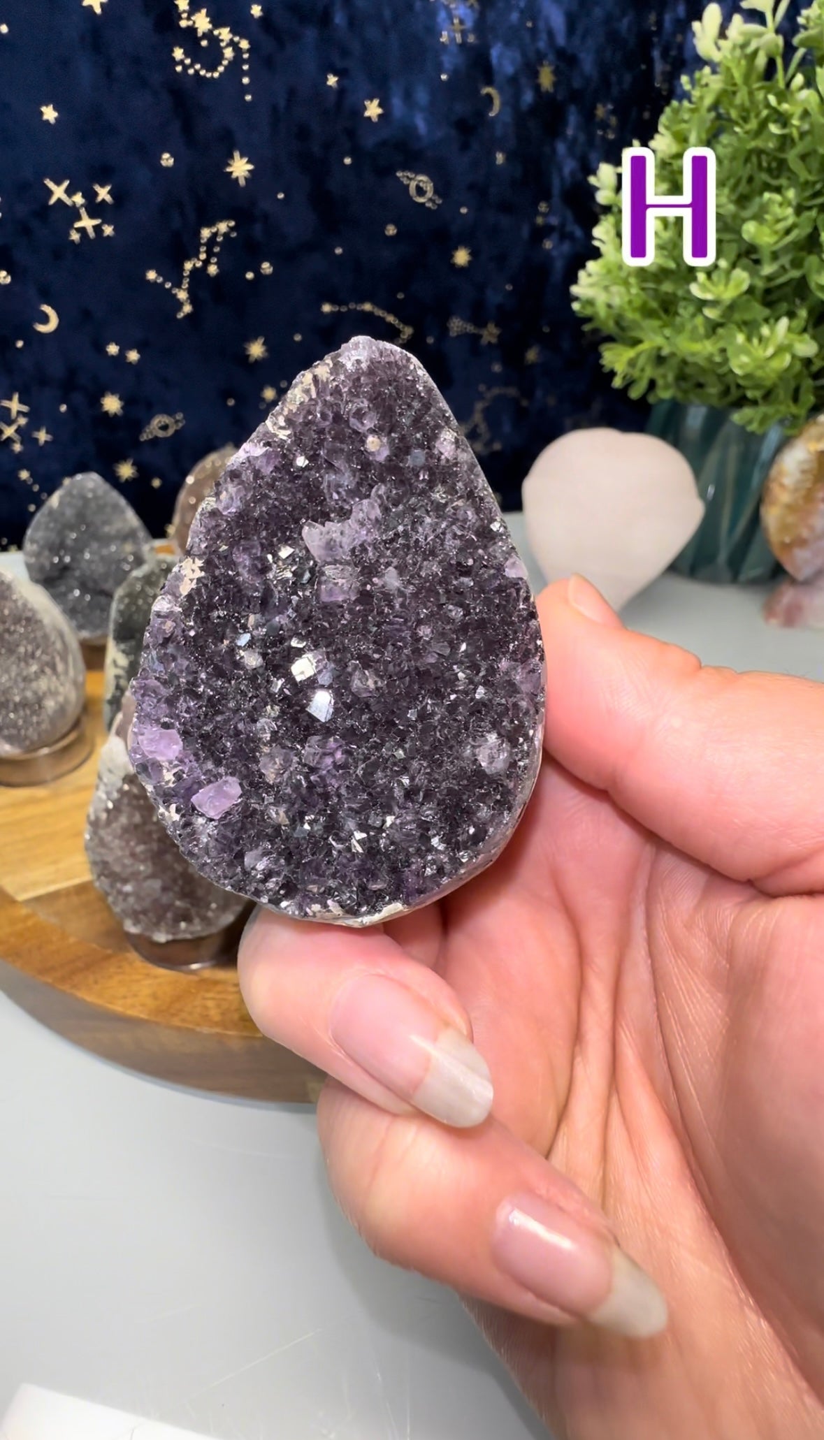 Druzy Amethyst Egg