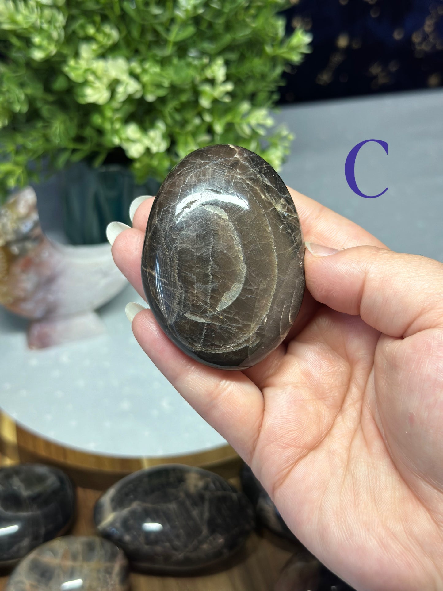 Black Moonstone Palm Stone